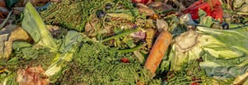Agricoltura
